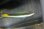 画像2: モーリシャス産レッドチークラス±12cm (2)