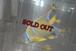 画像4: 山本様専用