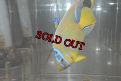 画像6: 山本様専用