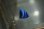 画像1: 《Full Blue》アフリカヌス±2.5〜3cm (1)