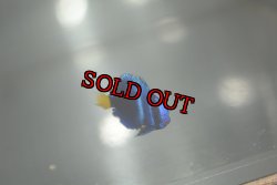 画像3: 《Full Blue》アフリカヌス±2.5〜3cm