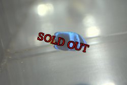 画像2: 《Full Blue》アフリカヌス±2〜2.5cm