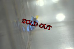 画像4: 《Full Blue》アフリカヌス±2〜2.5cm