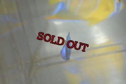 画像4: 《Full Blue》アフリカヌス±2.5〜3cm