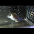 画像4: Chromis vanbebberae　±6cm (4)