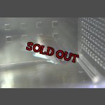 画像: Chromis vanbebberae　±6cm