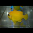 サンプル画像