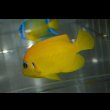 サンプル画像
