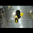 画像6: パソニファエンゼル±6.5cm (6)